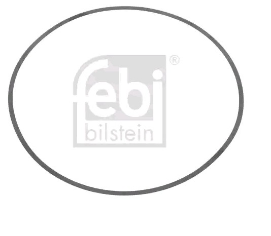 A4420110059 Mercedes Vedante anular para a camisa de motor